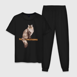 Мужская пижама хлопок Сибирский кот