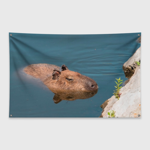 Флаг-баннер Капибара засыпает под водой