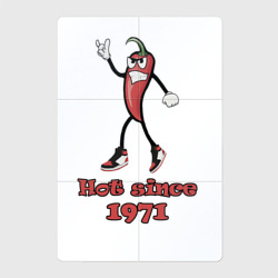 Магнитный плакат 2Х3 Hot since 1971