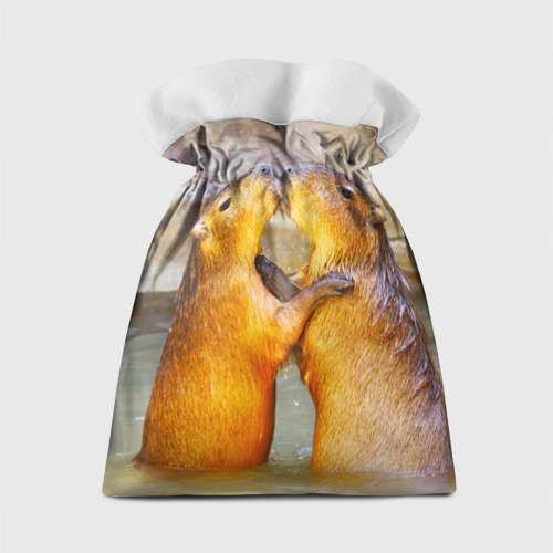 Подарочный 3D мешок Влюблённые капибары - фото 2