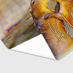 Бумага для упаковки 3D Влюблённые капибары - фото 2
