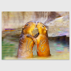 Поздравительная открытка Влюблённые капибары