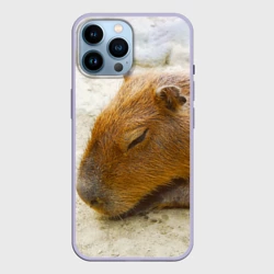 Чехол для iPhone 14 Pro Max Спящая капибара