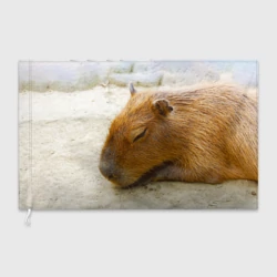 Флаг 3D Спящая капибара