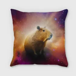Подушка 3D Космическая водосвинка