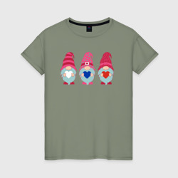 Женская футболка хлопок Гномы триколор