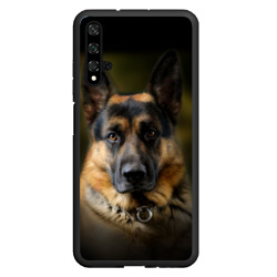 Чехол для Honor 20 Немецкая овчарка