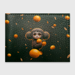 Обложка для студенческого билета Милая девушка с мандаринами