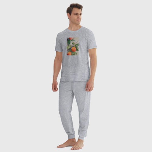 Мужская пижама хлопок с принтом Абрикос арт, вид сбоку #3