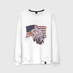 Мужской свитшот хлопок American eagle