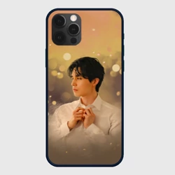 Чехол для iPhone 12 Pro Ли Дон Ук 2521