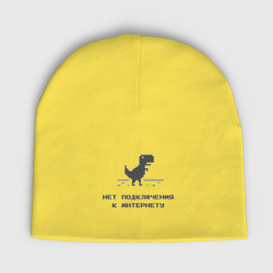Детская шапка демисезонная Нет подключения к интернету