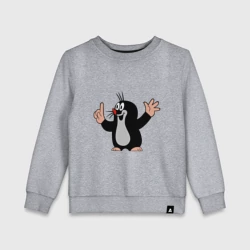 Детский свитшот хлопок Чешский крот