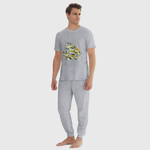 Мужская пижама хлопок с принтом Рыбка разноцветная, вид сбоку #3