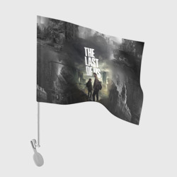 Флаг для автомобиля TV series The Last of us