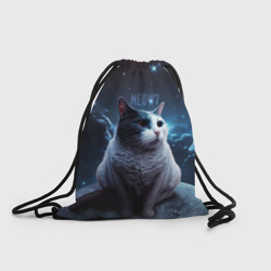 Рюкзак-мешок 3D Мемный кот в космосе
