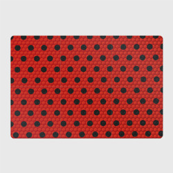 Магнитный плакат 3Х2 Камуфляж божья коровка