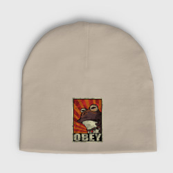 Детская шапка демисезонная Obey frog