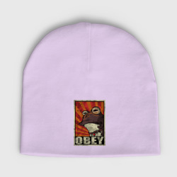 Детская шапка демисезонная Obey frog