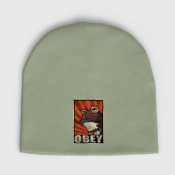 Детская шапка демисезонная Obey frog