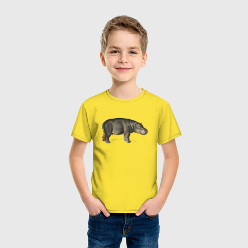 Детская футболка хлопок Hippopotamus, цвет желтый - фото 3