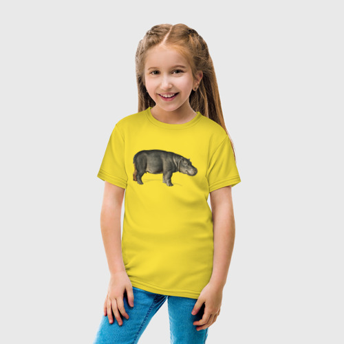 Детская футболка хлопок Hippopotamus, цвет желтый - фото 5