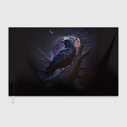 Флаг 3D Ворон во мраке