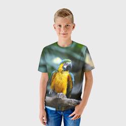Детская футболка 3D Красавец попугай - фото 2