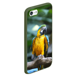 Чехол для iPhone 5/5S матовый Красавец попугай - фото 2