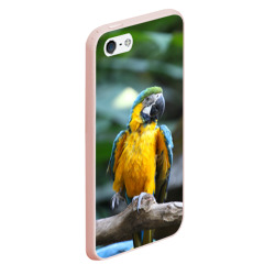 Чехол для iPhone 5/5S матовый Красавец попугай - фото 2