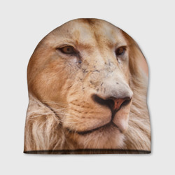 Шапка 3D Мудрый лев