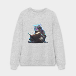 Мужской свитшот oversize без начеса хлопок Кот ученый с книгой, Киберпанк