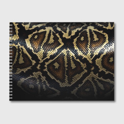 Альбом для рисования Шкура змеи текстура