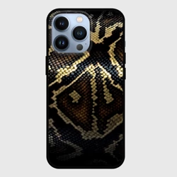 Чехол для iPhone 13 Pro Шкура змеи текстура