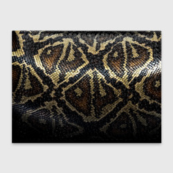 Обложка для студенческого билета Шкура змеи текстура
