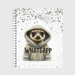 Тетрадь Meerkats whatsapp