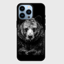 Чехол для iPhone 14 Pro Медведь тотем славян
