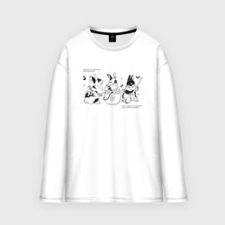 Женский лонгслив oversize хлопок Rabbits designers