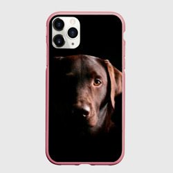 Чехол для iPhone 11 Pro Max матовый Шоколадный лабрадор