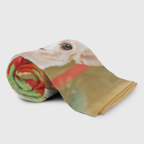 Плед 3D Праздничный чихуахуа, цвет 3D (велсофт) - фото 2