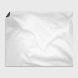 Плед с принтом Котик в мешке для любого человека, вид спереди №4. Цвет основы: 3d (велсофт)