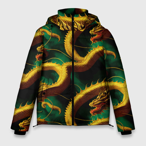 Мужская зимняя куртка с принтом Китайский золотой дракон в изумрудных водах, вид спереди №1