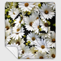 Плед с рукавами Белые цветы ромашки - летний паттерн