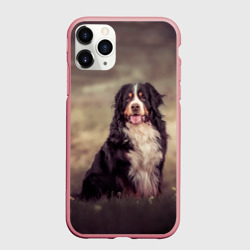Чехол для iPhone 11 Pro Max матовый Бернский зенненхунд - фото
