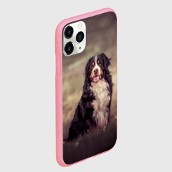 Чехол для iPhone 11 Pro Max матовый Бернский зенненхунд - фото - фото 2
