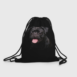 Рюкзак-мешок 3D Мопс на темном фоне