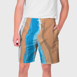 Мужские шорты 3D Голубые и коричневые краски