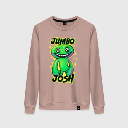 Женский свитшот хлопок Jumbo Josh