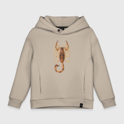Детское худи Oversize хлопок Centruroides elegans