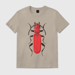 Мужская футболка хлопок Cucujus haematodes